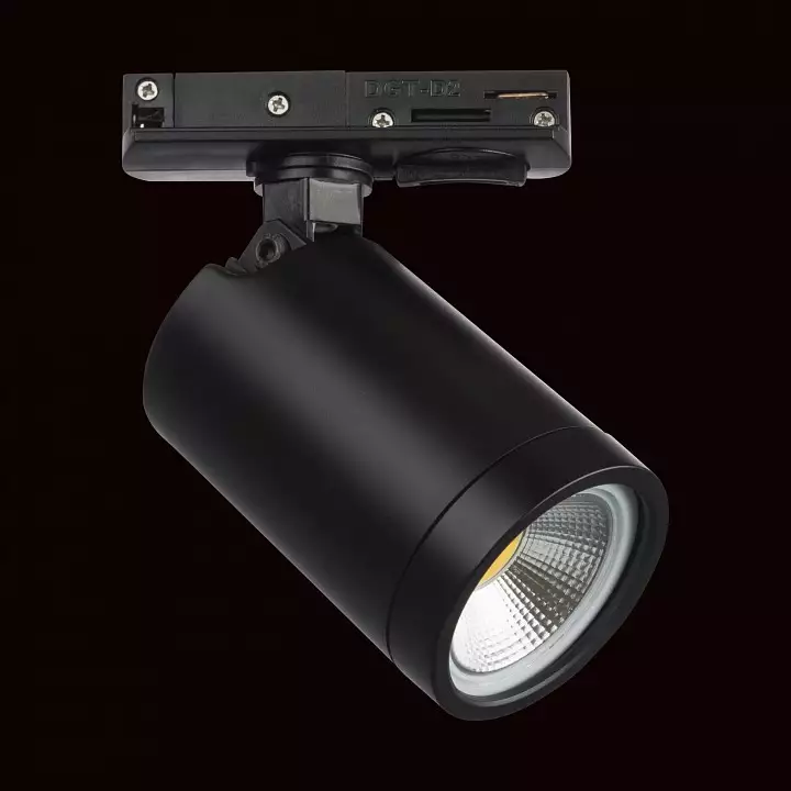 Светильник на штанге Lightstar Rullo 212937 1_LS_212937.webp big