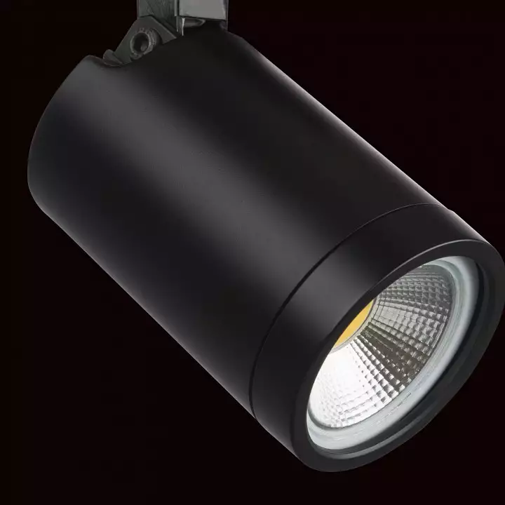 Светильник на штанге Lightstar Rullo 212937 3_LS_212937.webp big
