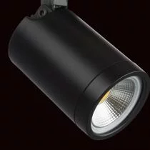 Светильник на штанге Lightstar Rullo 212937 3_LS_212937.webp small