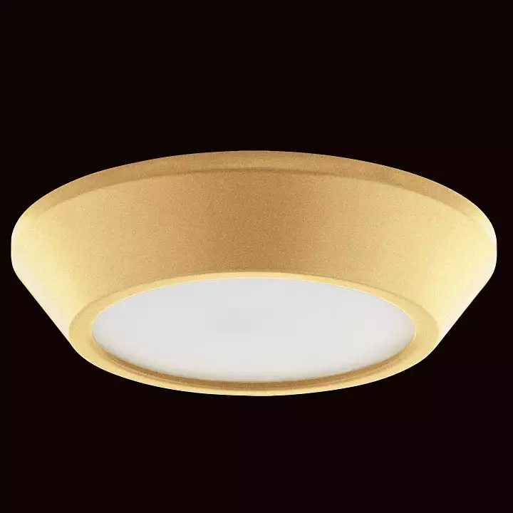 Накладной светильник Lightstar Urbano mini 214732 1_LS_214732.webp big