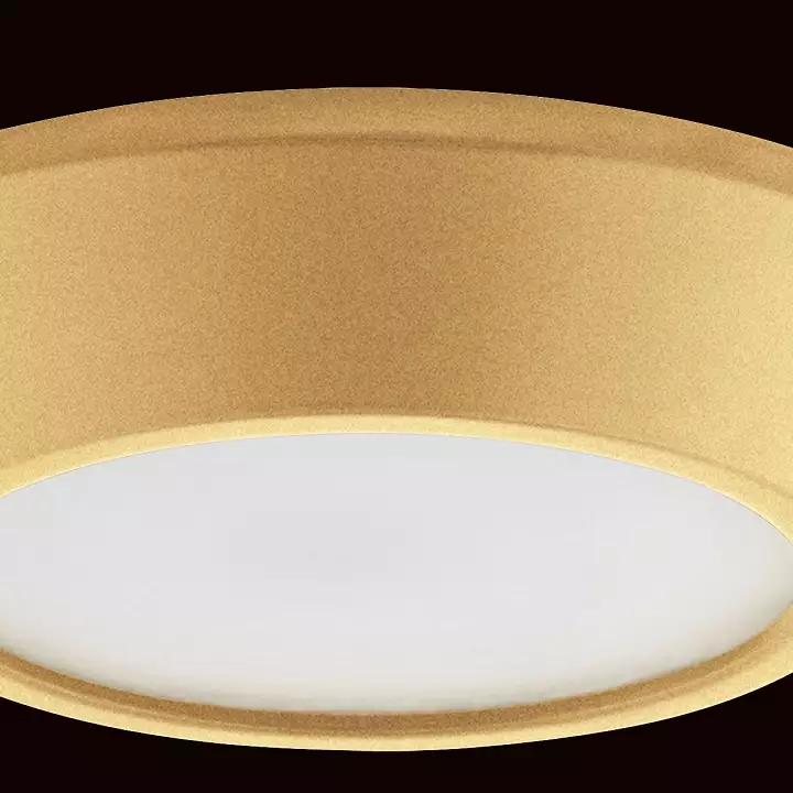 Накладной светильник Lightstar Urbano mini 214732 4_LS_214732.webp big