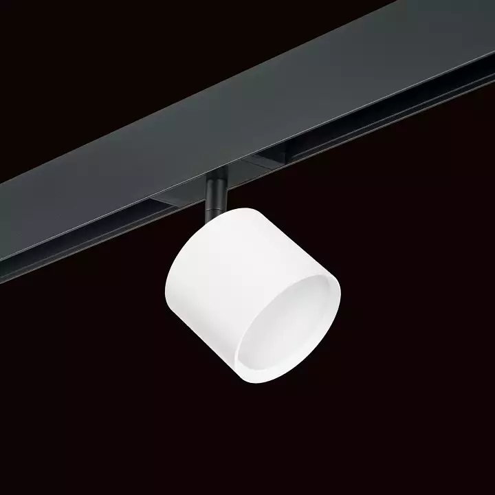 Светильник на штанге Lightstar Rullo PRO3486 1_LS_PRO3486.webp big