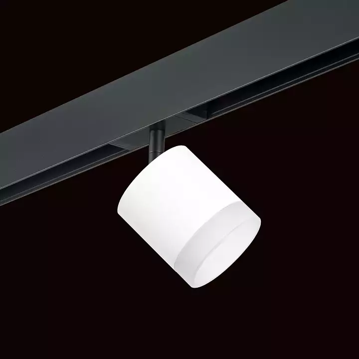 Светильник на штанге Lightstar Rullo PRO348680 1_LS_PRO348680.webp big