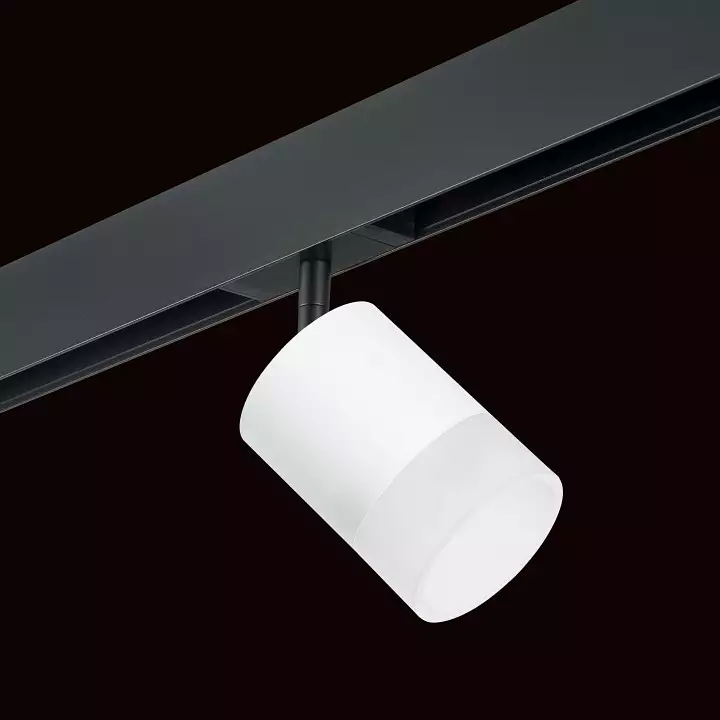 Светильник на штанге Lightstar Rullo PRO348681 1_LS_PRO348681.webp big