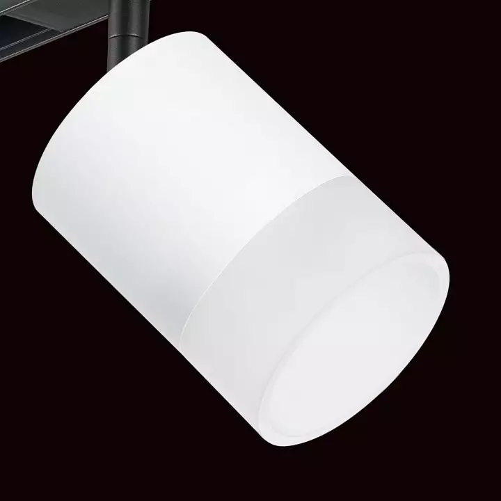 Светильник на штанге Lightstar Rullo PRO348681 3_LS_PRO348681.webp big