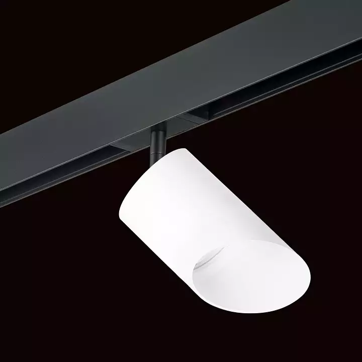 Светильник на штанге Lightstar Rullo PRO348686 1_LS_PRO348686.webp big