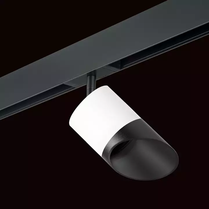 Светильник на штанге Lightstar Rullo PRO348687 1_LS_PRO348687.webp big