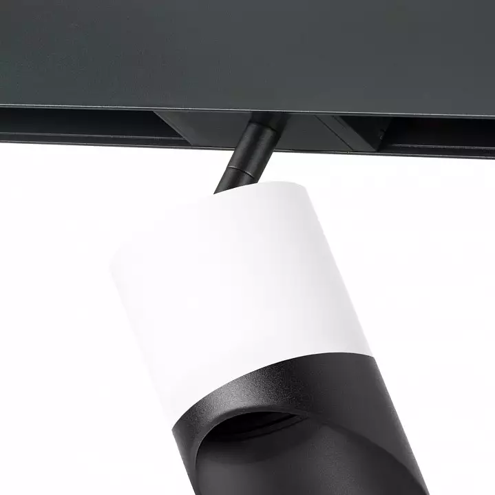 Светильник на штанге Lightstar Rullo PRO348687 2_LS_PRO348687.webp big