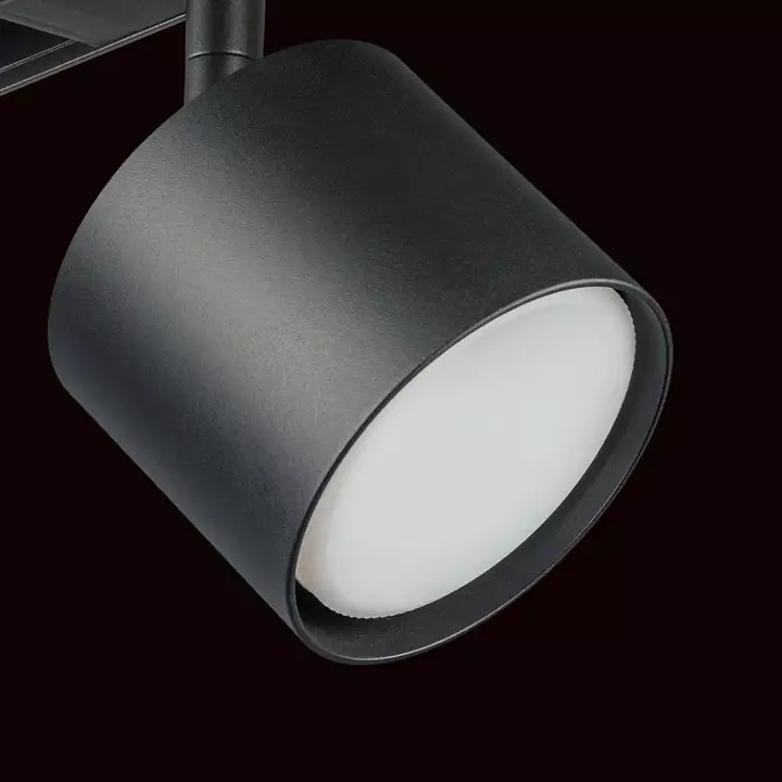 Светильник на штанге Lightstar Rullo PRO3487 3_LS_PRO3487.webp big