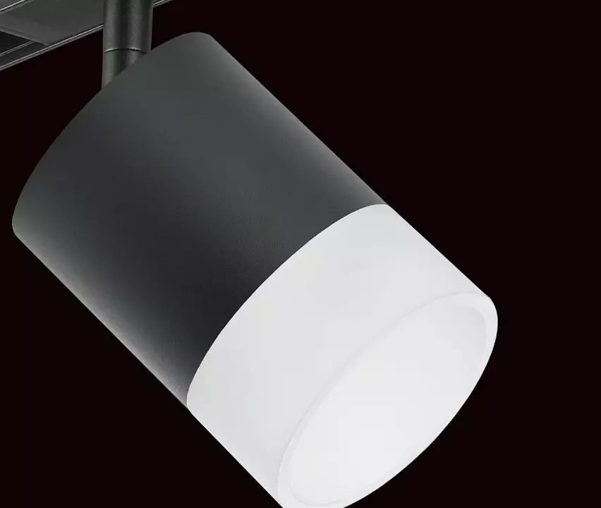 Светильник на штанге Lightstar Rullo PRO348781 3_LS_PRO348781.webp big