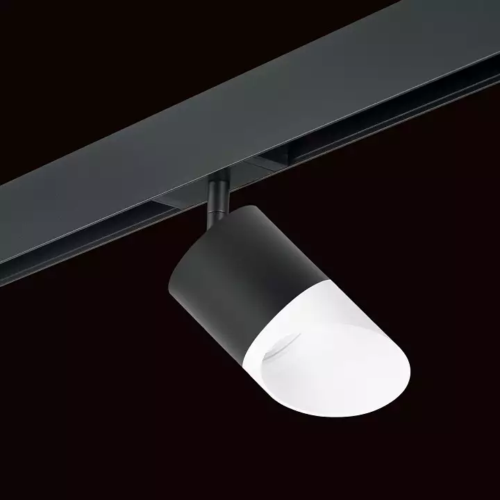 Светильник на штанге Lightstar Rullo PRO348786 1_LS_PRO348786.webp big