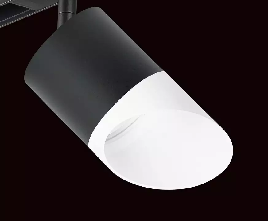 Светильник на штанге Lightstar Rullo PRO348786 3_LS_PRO348786.webp big