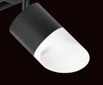 Светильник на штанге Lightstar Rullo PRO348786 3_LS_PRO348786.webp small
