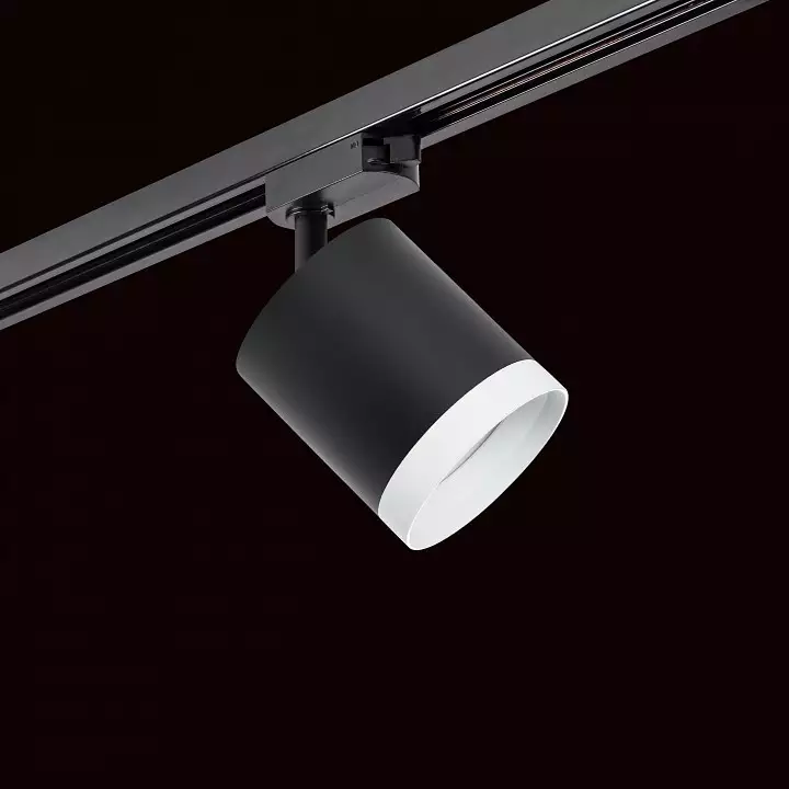 Светильник на штанге Lightstar Rullo R1T34873486 1_LS_R1T34873486.webp big