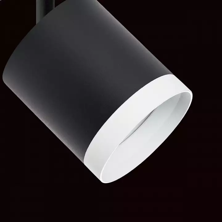 Светильник на штанге Lightstar Rullo R1T34873486 3_LS_R1T34873486.webp big