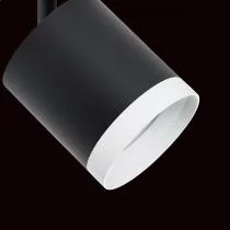 Светильник на штанге Lightstar Rullo R1T34873486 3_LS_R1T34873486.webp small