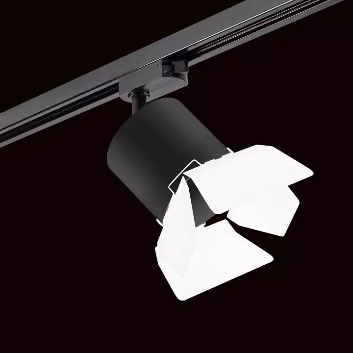 Светильник на штанге Lightstar Rullo R1T3487486 1_LS_R1T3487486.webp big