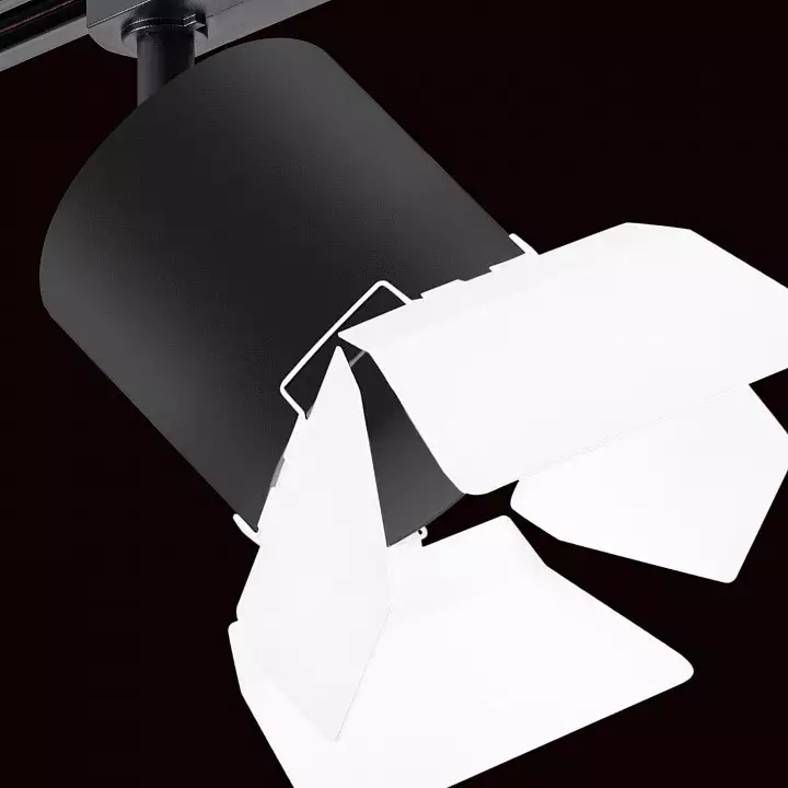 Светильник на штанге Lightstar Rullo R1T3487486 3_LS_R1T3487486.webp big