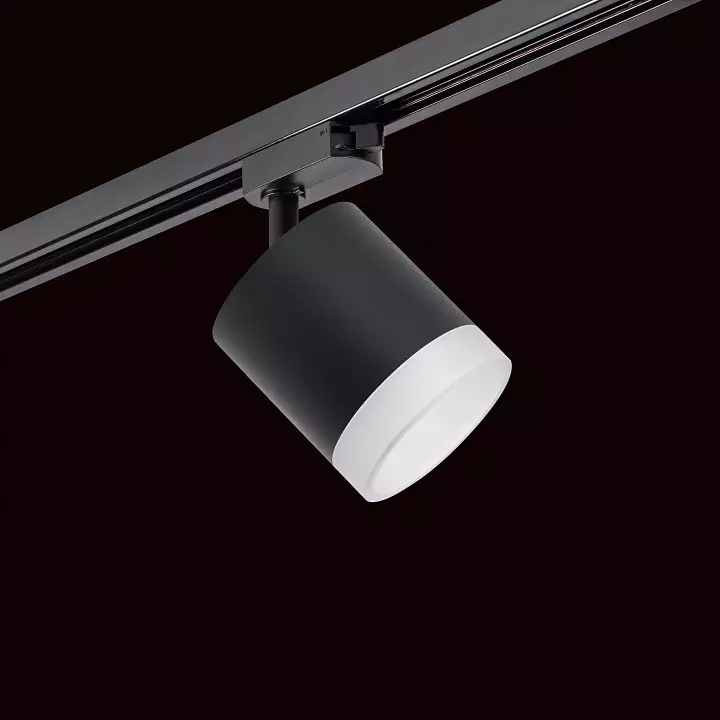 Светильник на штанге Lightstar Rullo R1T348780 1_LS_R1T348780.webp big