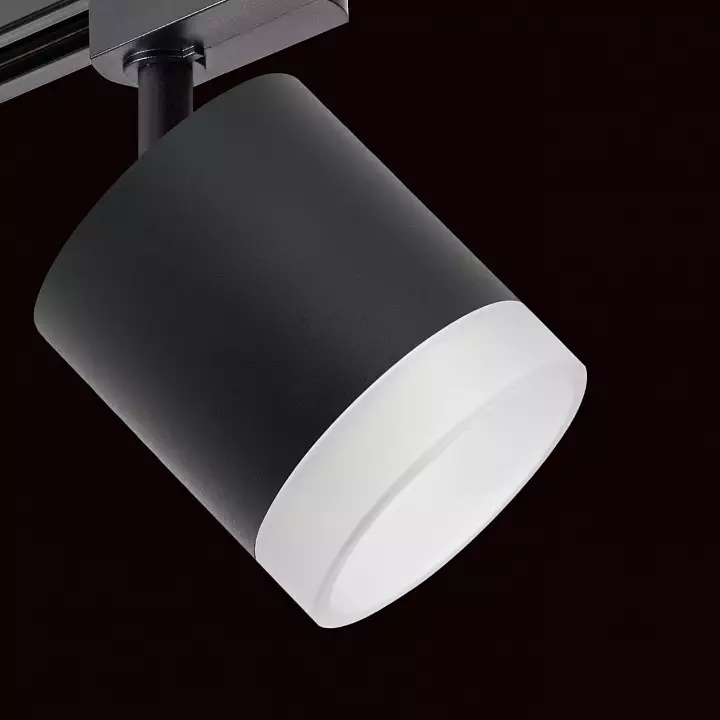Светильник на штанге Lightstar Rullo R1T348780 3_LS_R1T348780.webp big