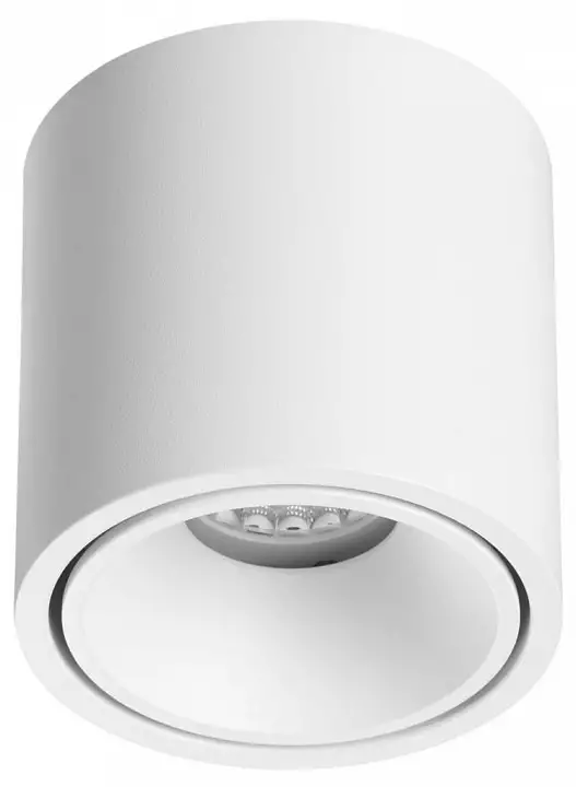 Накладной светильник Odeon Light Redo 6620/10CL 0_OD_6620_10CL.webp big