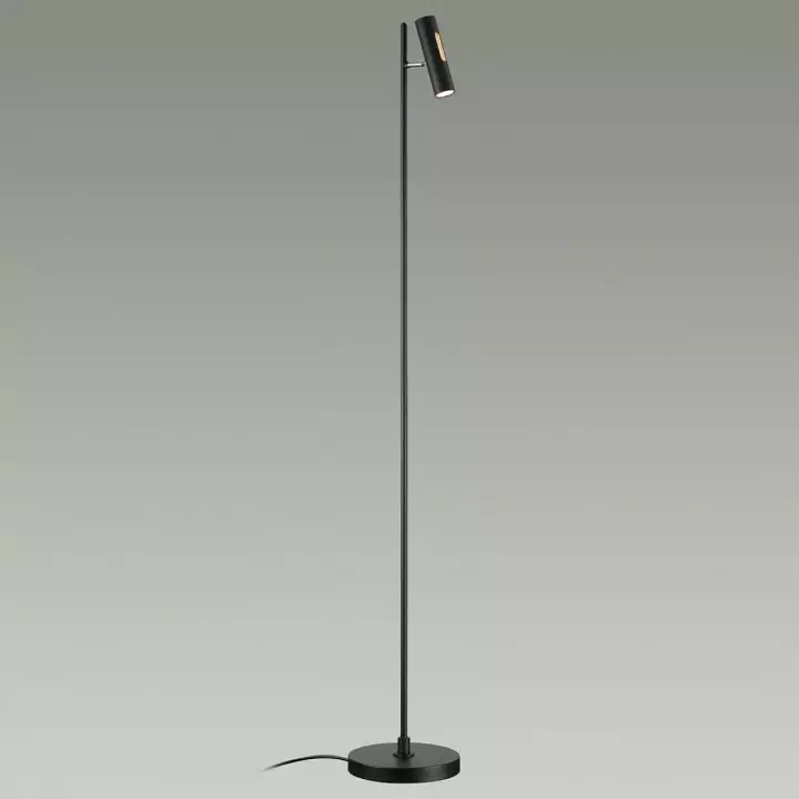 Торшер Odeon Light Mali 6643/5FL 1_OD_6643_5FL.webp big