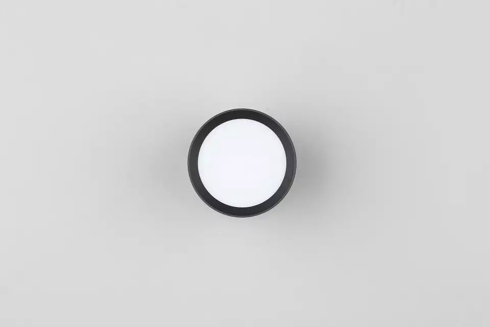 Накладной светильник Omnilux Capurso OML-102439-05 3_OM_OML-102439-05.webp big