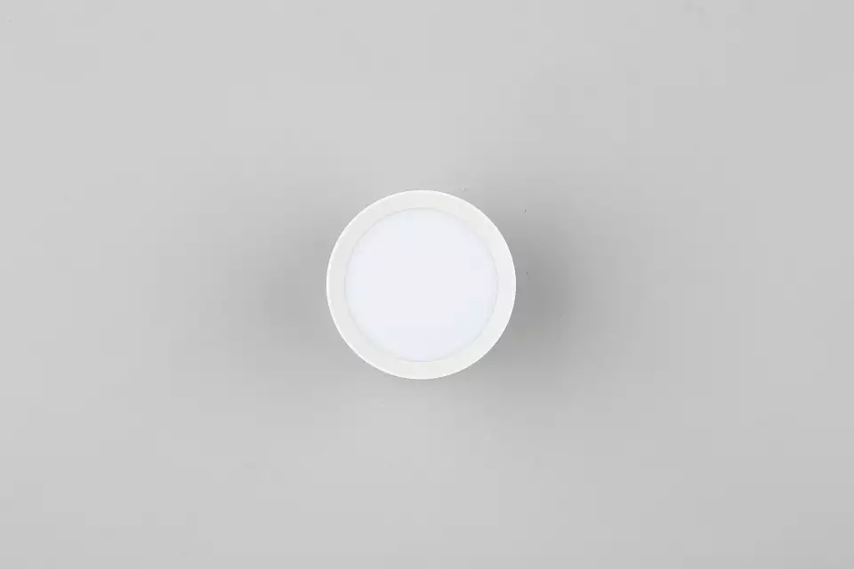 Накладной светильник Omnilux Capurso OML-102429-05 4_OM_OML-102429-05.webp big
