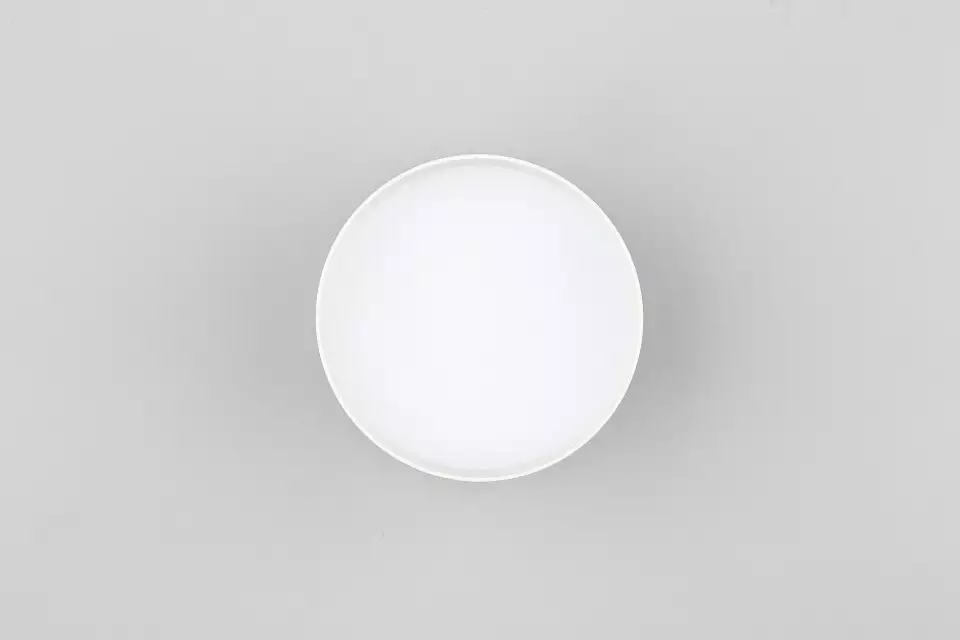 Накладной светильник Omnilux Abano OML-103309-12 4_OM_OML-103309-12.webp big