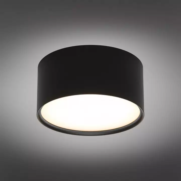 Накладной светильник Omnilux Abano OML-103319-12 1_OM_OML-103319-12.webp big