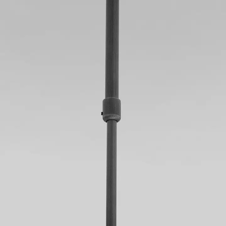 Светильник на штанге Eurosvet Pacific 50255/1 титан 3_EV_a063266.webp big