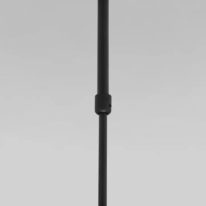 Светильник на штанге Eurosvet Pacific 50255/1 черный 3_EV_a063267.webp big