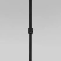 Светильник на штанге Eurosvet Pacific 50255/1 черный 3_EV_a063267.webp small