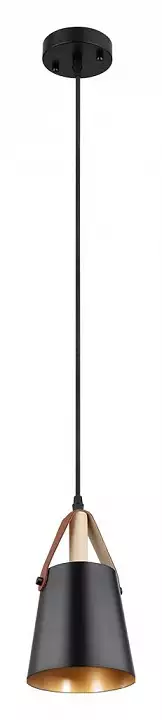 Подвесной светильник Arte Lamp Thomas A7032SP-1BK 1_AR_A7032SP-1BK.webp big