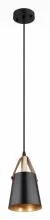Подвесной светильник Arte Lamp Thomas A7032SP-1BK 1_AR_A7032SP-1BK.webp small