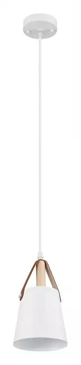 Подвесной светильник Arte Lamp Thomas A7032SP-1WH 1_AR_A7032SP-1WH.webp big