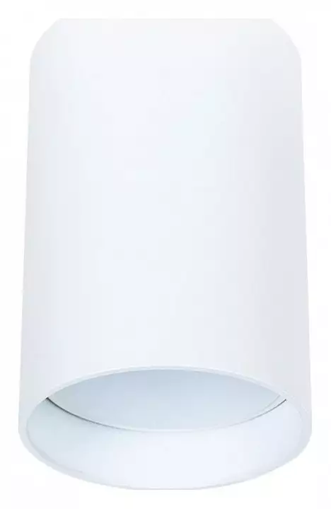 Накладной светильник Arte Lamp Beid A1517PL-1WH 0_AR_A1517PL-1WH.webp big