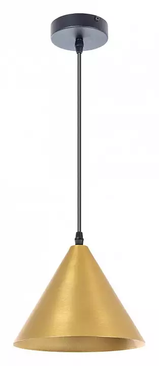 Подвесной светильник Arte Lamp David A7033SP-1BK 1_AR_A7033SP-1BK.webp big