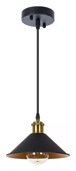 Подвесной светильник Arte Lamp Cappello A7037SP-1BK 1_AR_A7037SP-1BK.webp big
