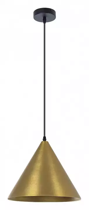 Подвесной светильник Arte Lamp David A7041SP-1BK 1_AR_A7041SP-1BK.webp big