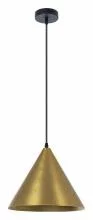 Подвесной светильник Arte Lamp David A7041SP-1BK 1_AR_A7041SP-1BK.webp small