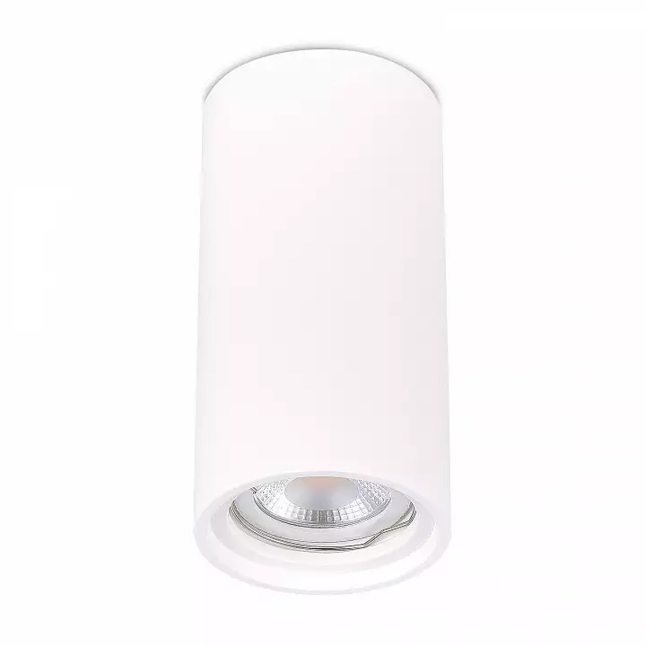 Накладной светильник ST-Luce ST155 Gipsum ST155.502.01 0_ST155.502.01.webp big