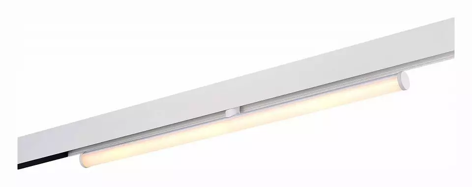 Светильник на штанге ST-Luce ST803 ST803.536.10 1_ST803.536.10.webp big