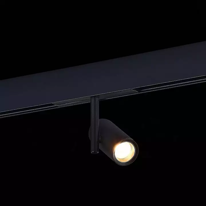 Светильник на штанге ST-Luce ST808 ST808.446.08 3_ST808.446.08.webp big