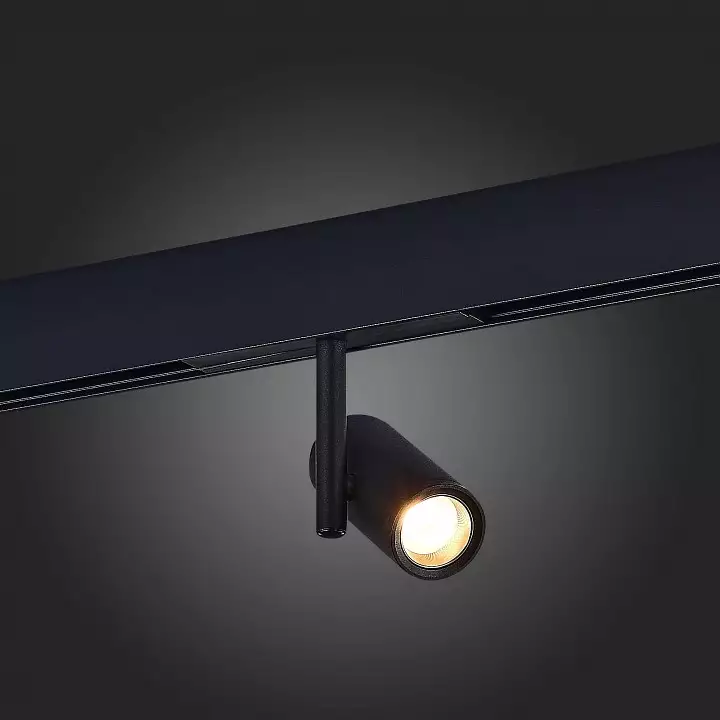 Светильник на штанге ST-Luce ST808 ST808.446.08 4_ST808.446.08.webp big