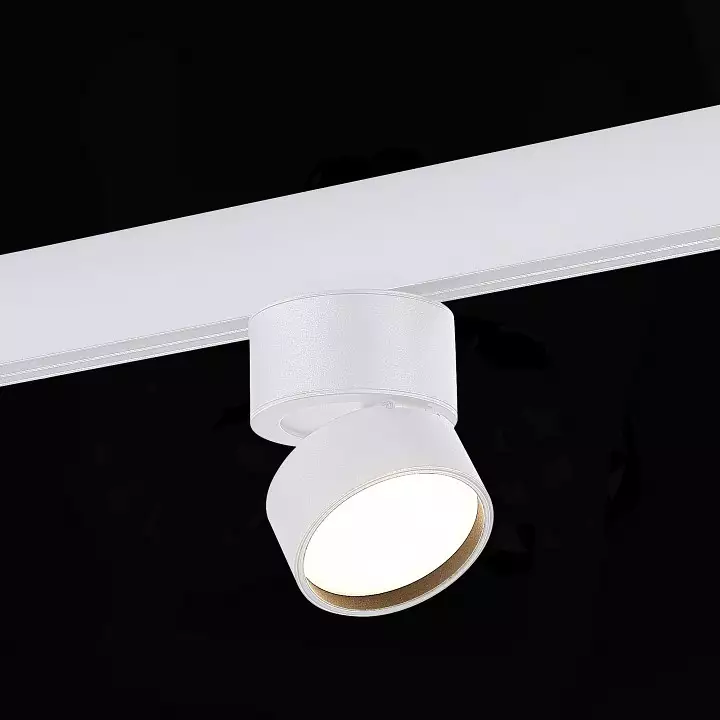 Светильник на штанге ST-Luce ST809 ST809.536.09 3_ST809.536.09.webp big