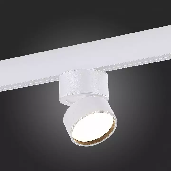 Светильник на штанге ST-Luce ST809 ST809.536.09 4_ST809.536.09.webp big