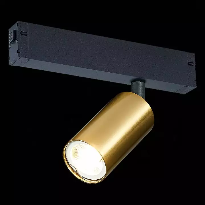 Светильник на штанге ST-Luce SKYLINE 220 ST503.206.01 2_ST503.206.01.webp big