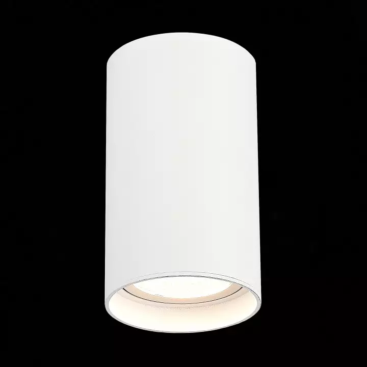 Накладной светильник ST-Luce ST157 ST157.542.20 2_ST157.542.20.webp big