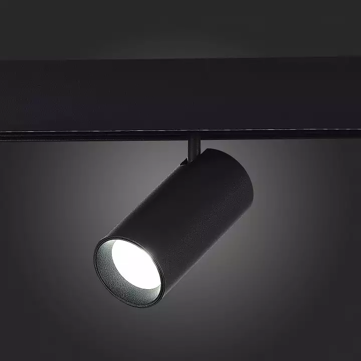 Светильник на штанге ST-Luce ST375 ST375.406.12 4_ST375.406.12.webp big